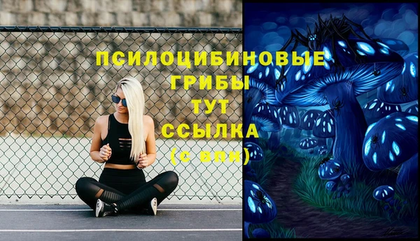 хмурый Беломорск